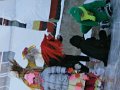 Karneval na lade   219